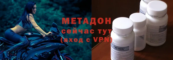 прущие грибы Заводоуковск