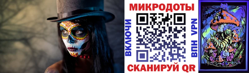 купить наркоту  darknet формула  Псилоцибиновые грибы GOLDEN TEACHER  Павлово 